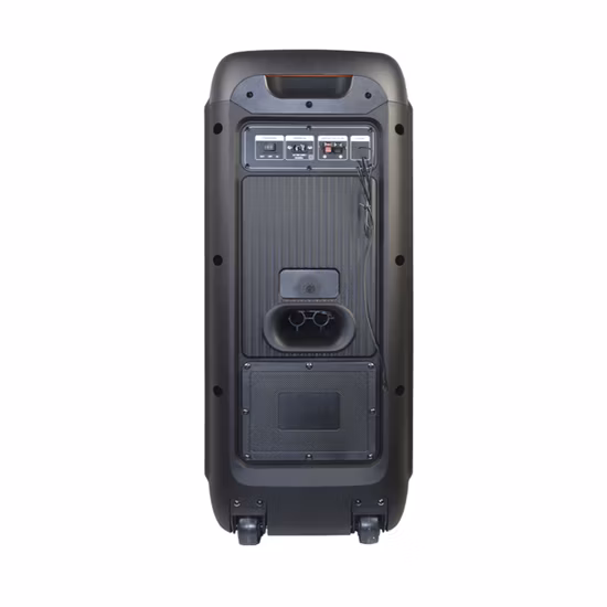 Temeisheng 새로운 80W 큰 무선 블루투스 휴대용 트롤리 HiFi 파티 박스 스피커